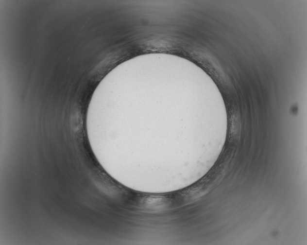 X0000116380173201001131816