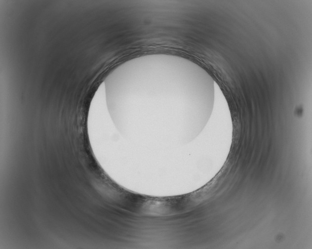 X0000116380174201001131816