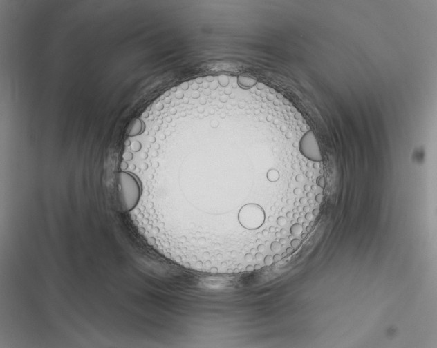 X0000116380175201001131816