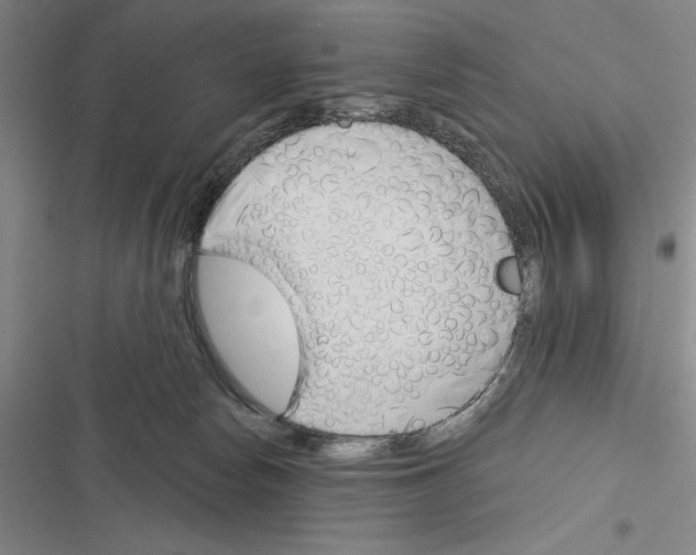 X0000116380178201001131816