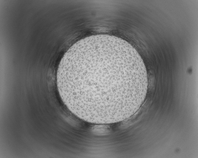 X0000116380179201001131816
