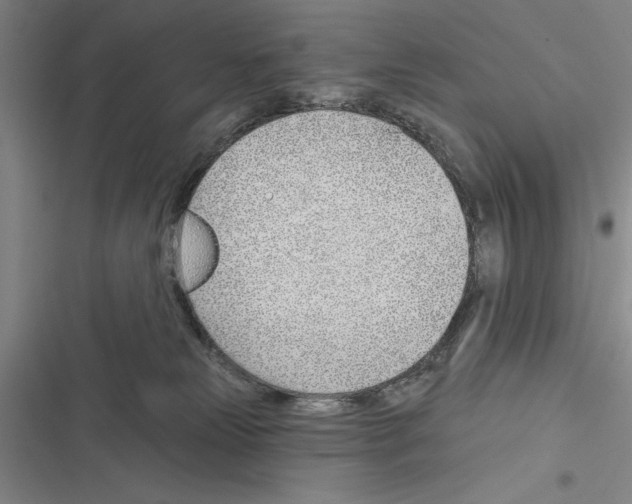 X0000116380181201001131816