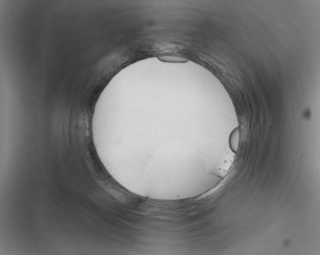 X0000116380182201001131816