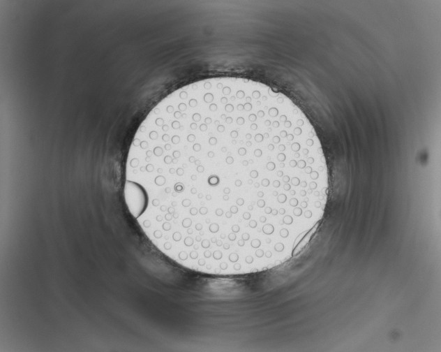 X0000116380183201001131816