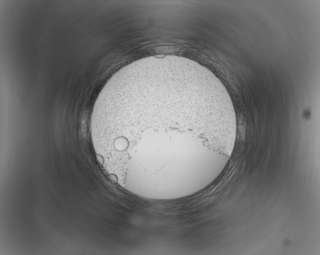 X0000116380185201001131816