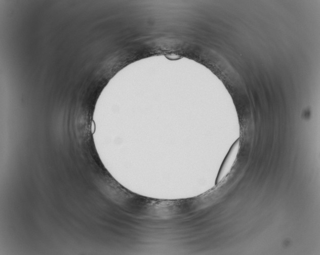 X0000116380186201001131816