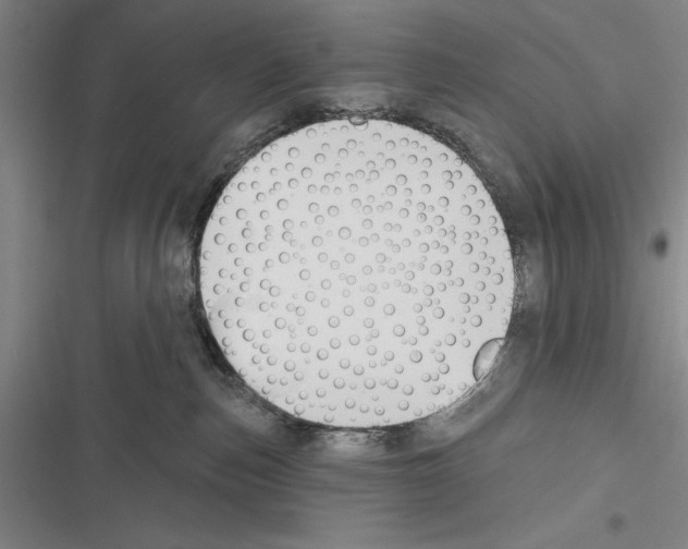 X0000116380187201001131816