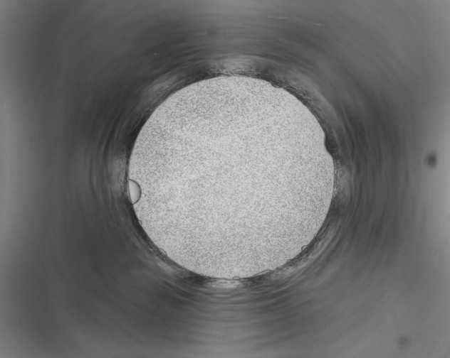 X0000116380189201001131816