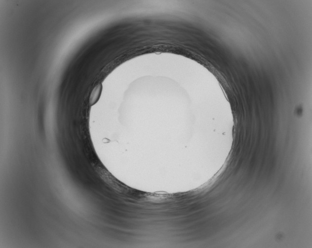 X0000116380190201001131816