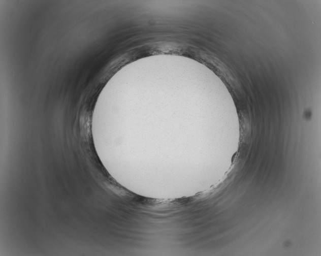 X0000116380191201001131816