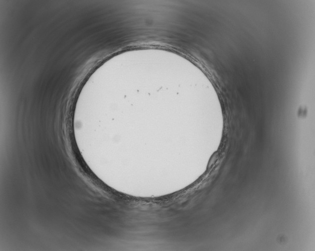 X0000116380193201001131815