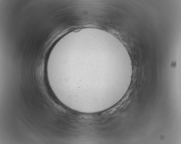 X0000116380194201001131815