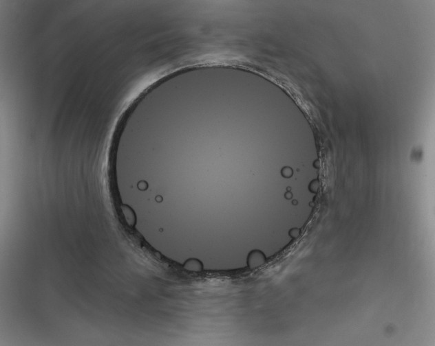 X0000116380196201001131815