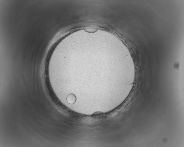 X0000116380198201001131815