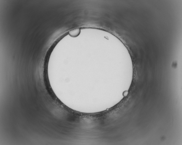 X0000116380199201001131815
