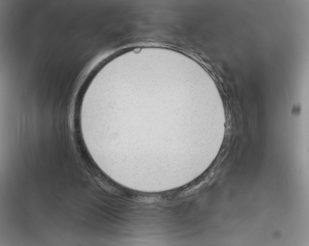 X0000116380200201001131815