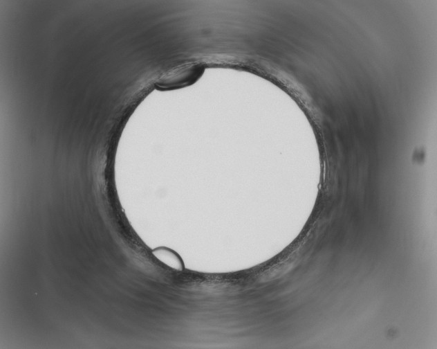 X0000116380201201001131815