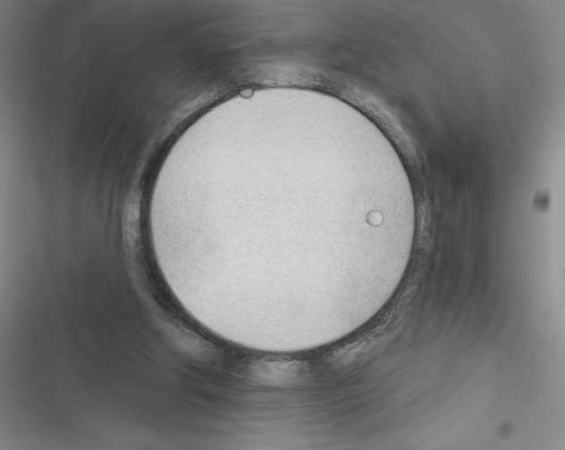 X0000116380202201001131815