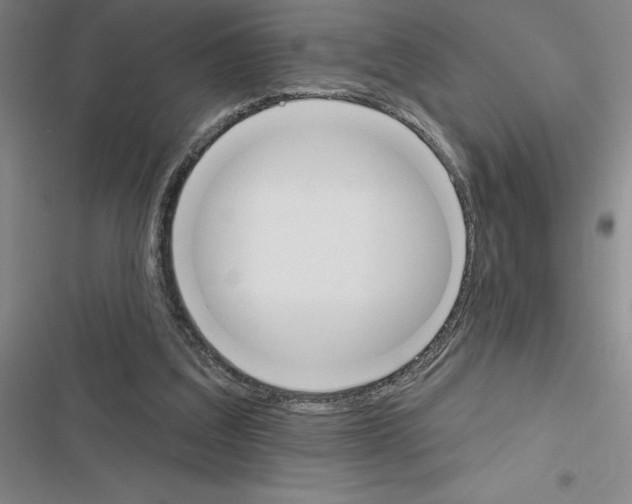 X0000116380203201001131815