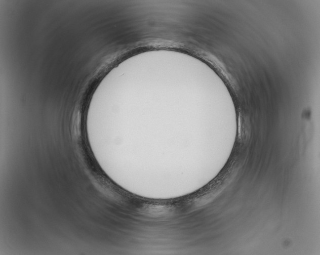 X0000116380205201001131815