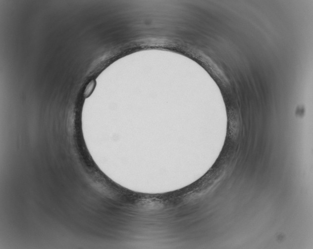 X0000116380207201001131815