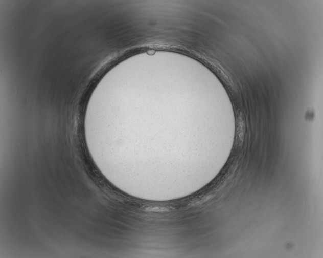 X0000116380208201001131815