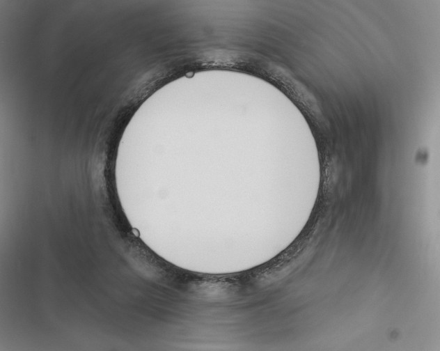 X0000116380209201001131815
