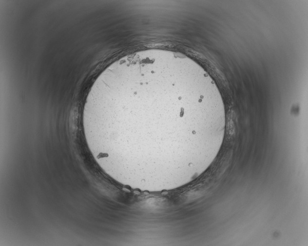 X0000116380210201001131815