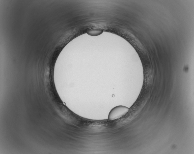 X0000116380213201001131815