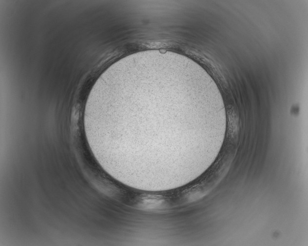 X0000116380214201001131815