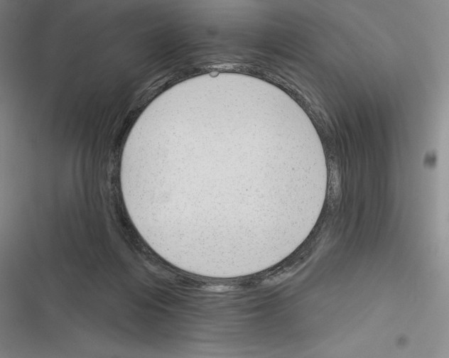 X0000116380216201001131815