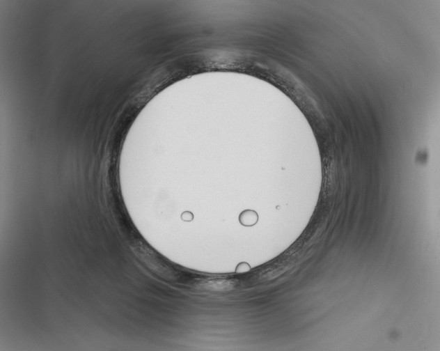 X0000116380217201001131815