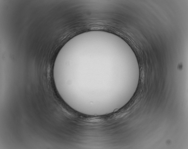 X0000116380219201001131815