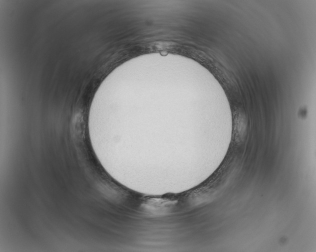 X0000116380222201001131815