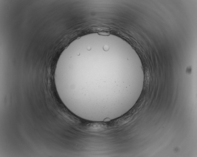 X0000116380223201001131815