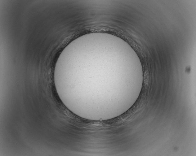 X0000116380224201001131815