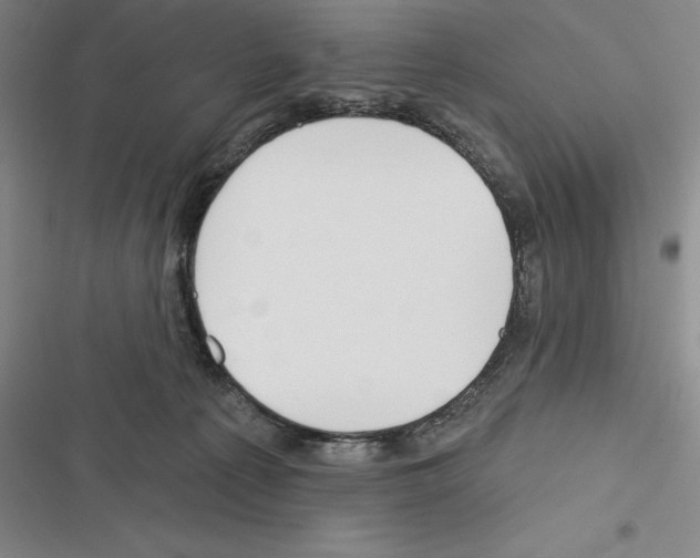X0000116380225201001131815