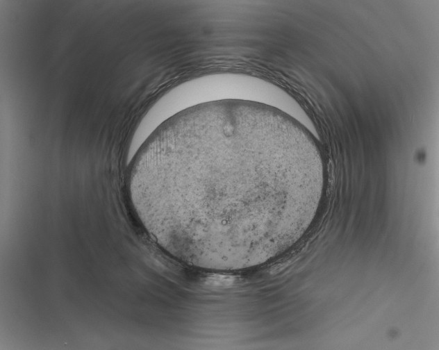 X0000116380227201001131815