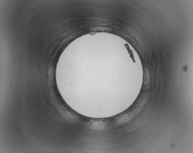 X0000116380228201001131815