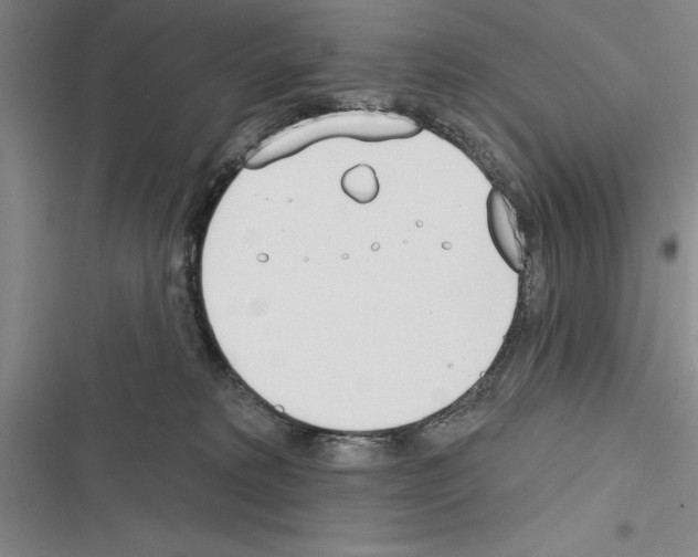 X0000116380229201001131815