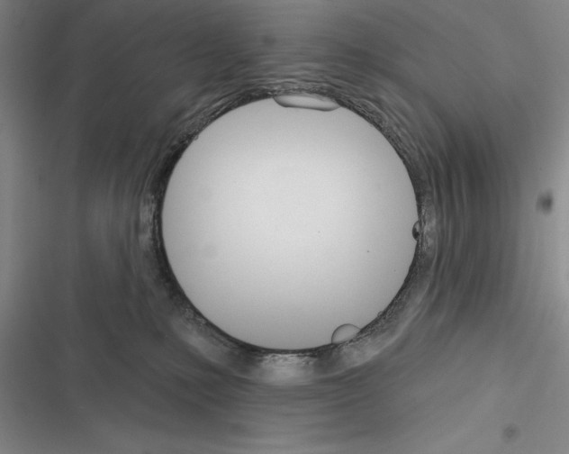 X0000116380231201001131815