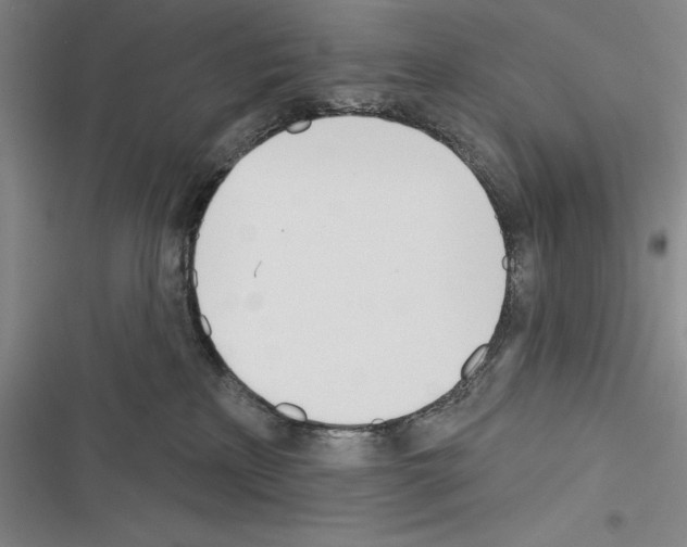 X0000116380233201001131815