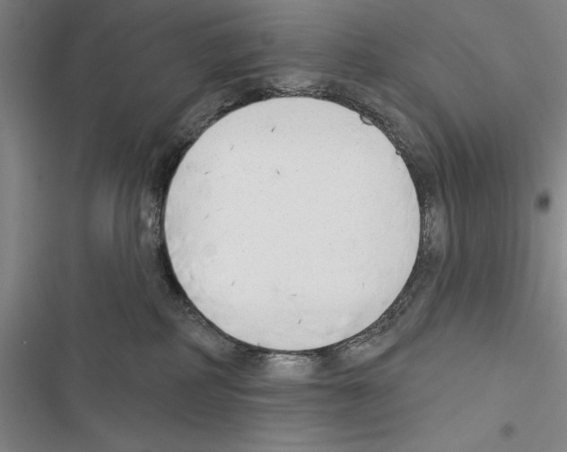 X0000116380234201001131815