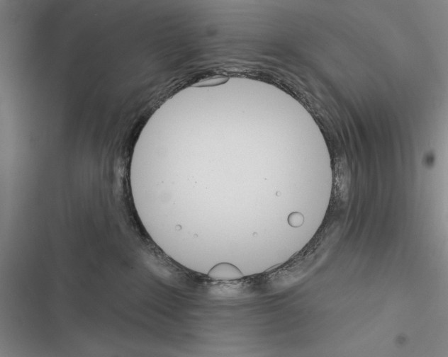 X0000116380235201001131815