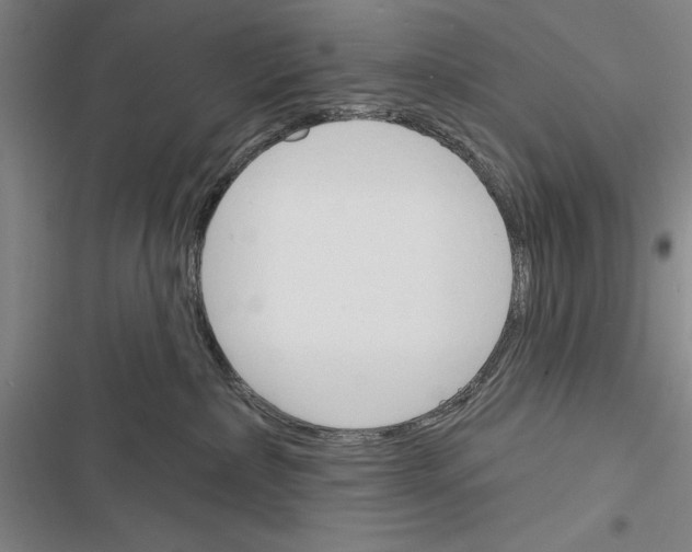 X0000116380236201001131815