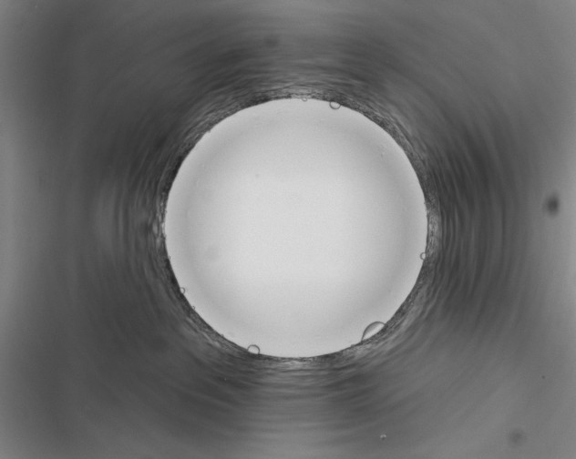 X0000116380237201001131815