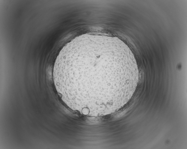 X0000116380238201001131815