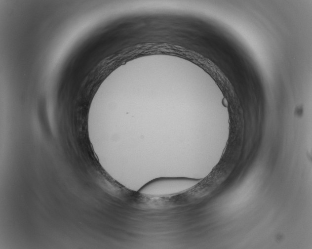X0000116380239201001131815
