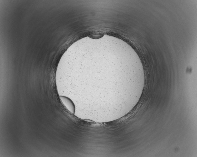 X0000116380240201001131815