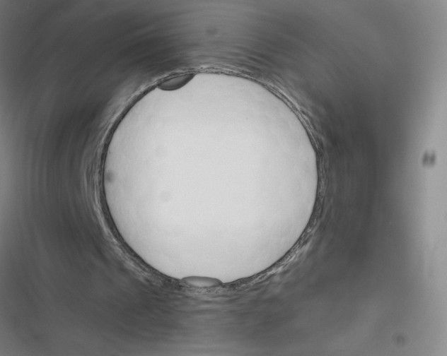 X0000116380241201001131814